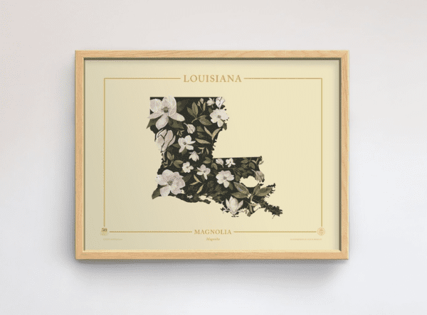 A picture of the state of louisiana with flowers.