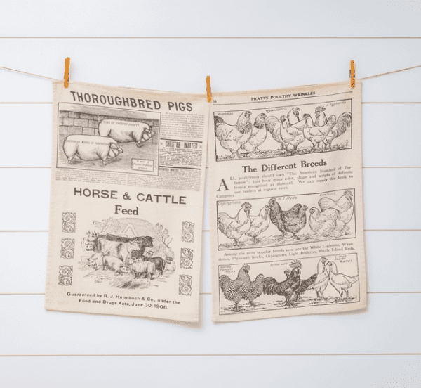 A newspaper hanging on the line with horse and cattle news.