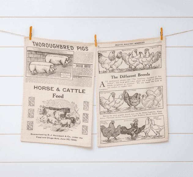 A newspaper hanging on the line with horse and cattle news.