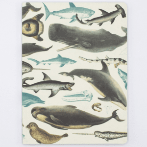 A notebook with different types of fish on it.