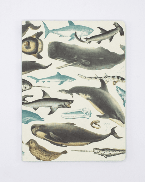 A notebook with different types of fish on it.