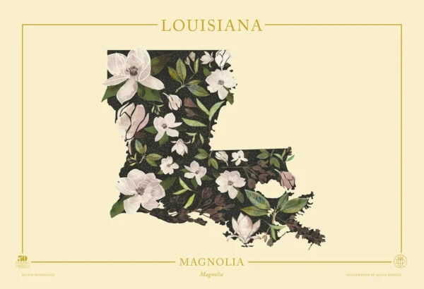 50 States of Beauty Louisiana Native Botanicals Print - Image 2