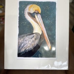 Close-up of a brown pelican with a blue background.