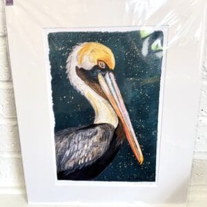 Colorful Brown Pelican By Ellen McCord Art