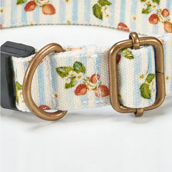 Strawberry Dog Collar - Image 3