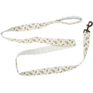 Strawberry Dog Leash